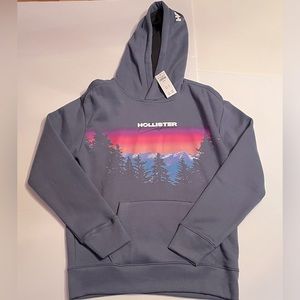 Mens Hollister hooded sweatshirt size small
